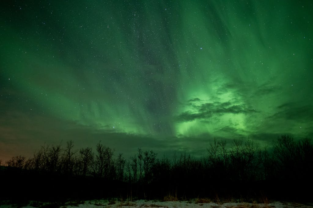 Terapi växjö