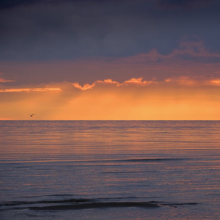 Öland, Sweden. ToByou, Den Du Redan Är, Sommar, Erbjudande, Samtal, Samtalsterapi, Högkänslig, HSP, Växjö, semester, stress, depression